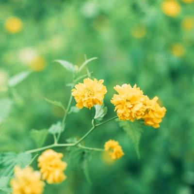 滑板派对2内购破解版下载
