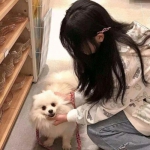 僵尸vs射手内购破解版下载